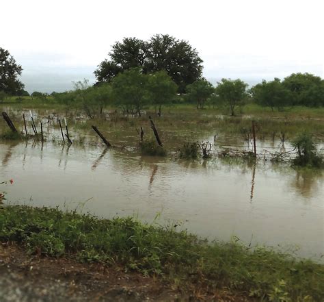 Recovery resources available for Texas livestock producers, individuals affected by floods | San ...