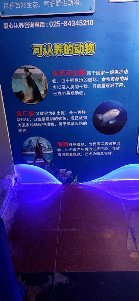 南京海底世界图片(南京海底世界图片实拍) - 旅游攻略 - 旺财去旅游