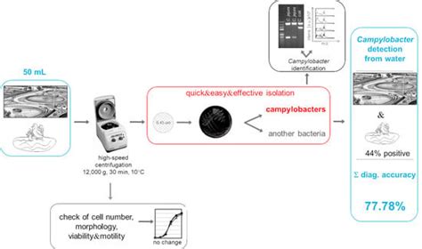 IJERPH | Special Issue : New Advances in Environmental Microbiology