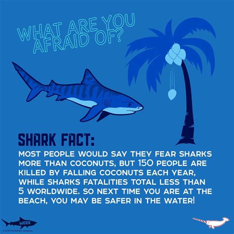 Fun facts about shark – Artofit