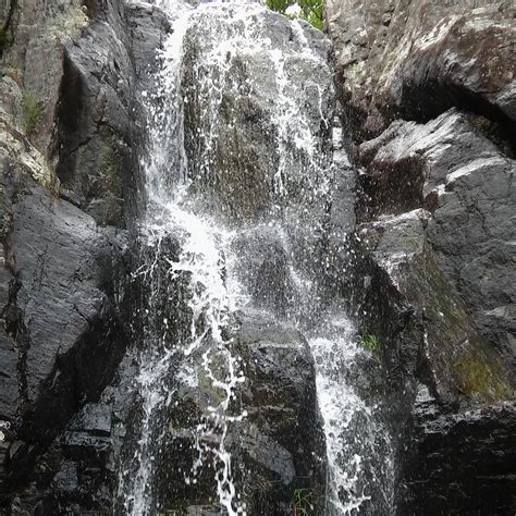 Taum Sauk Mountain State Park Camping | The Dyrt