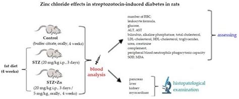 Zinc Chloride Enhances the Antioxidant Status, Improving the Functional ...