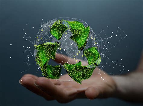 Recycling 101 | What You Can & Can’t Recycle – Mianzi