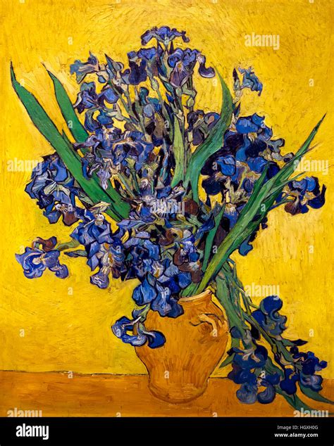 Irises, by Vincent van Gogh, 1890, oil on canvas, Netherlands, Europe ...