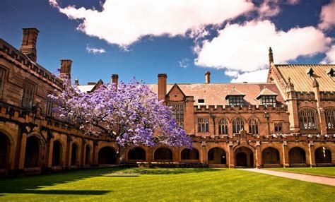 悉尼大学留学生校园生活