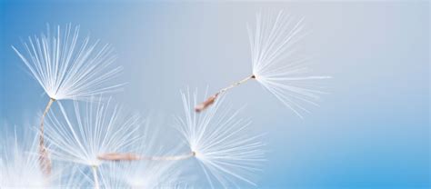 28. Juni 2019: 50 Jahre innovative Beratung für den Mittelstand ...