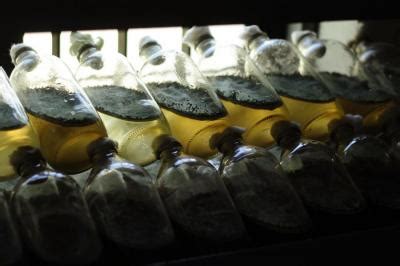 Bio control Lab | RARS, Ambalavayal