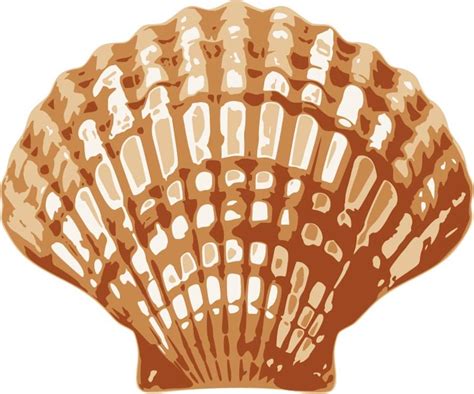 Image result for SeaShell SVG