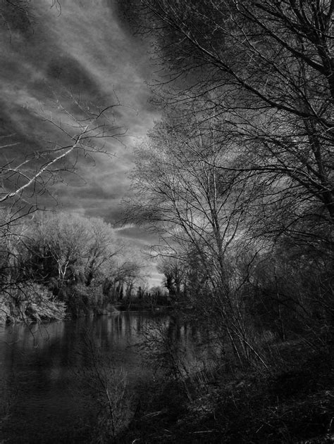 Nature Black and White 的图像结果