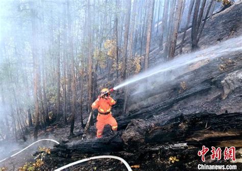 四川省雅江县发生森林火灾 火场海拔3800米|森林火灾|四川_新浪新闻