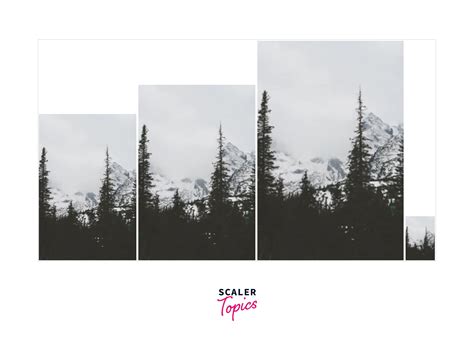 Image result for Zoom in and Zoom Out Using CSS