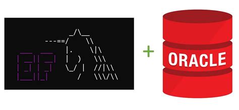 Image result for Oracle Entity Framework Core