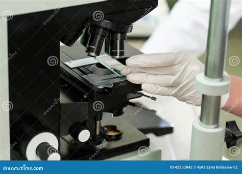Microbiology Lab Microscope 的图像结果