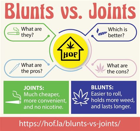 Blunts vs. Joints - House of Flowers