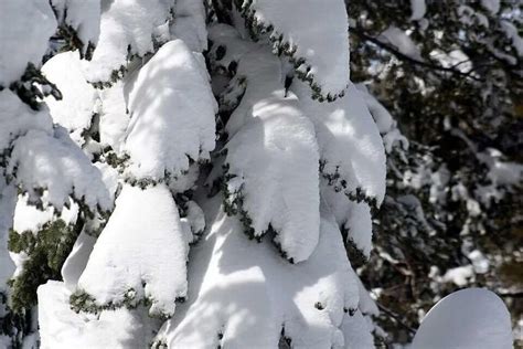 Scientists warn parts of the planet could freeze if a major ocean ...