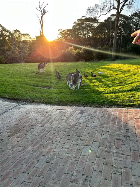 WATERFALL SPRINGS RETREAT (Kulnura) - B&B Reviews & Photos - Tripadvisor