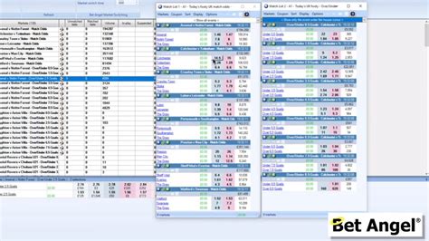 Bet Angel Tutorials 的图像结果
