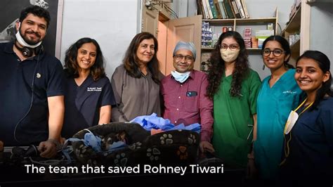 The team behind fitting a pacemaker in a dog's heart | - Times of India ...