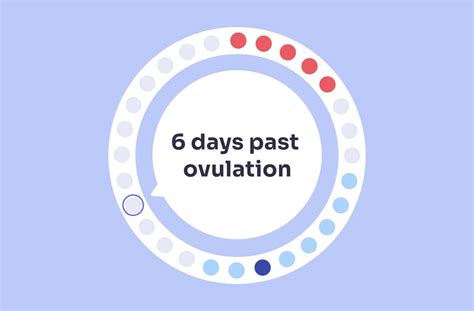 What to Expect at 6 Days Past Ovulation and Early Signs | Femia