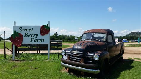 Sweet Berry Farm, Marble Falls