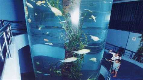 【携程攻略】厦门厦门海底世界景点,厦门海底世界是鼓浪屿岛上的著名景点，由原鼓浪公园改造的大型水族馆…