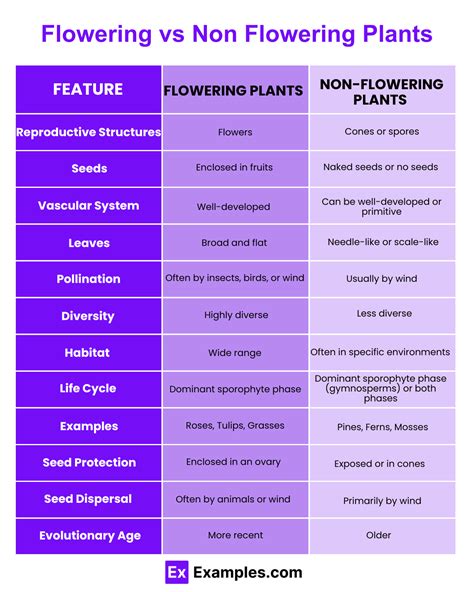 Flowering vs Non Flowering Plants - Differences Explained with Examples