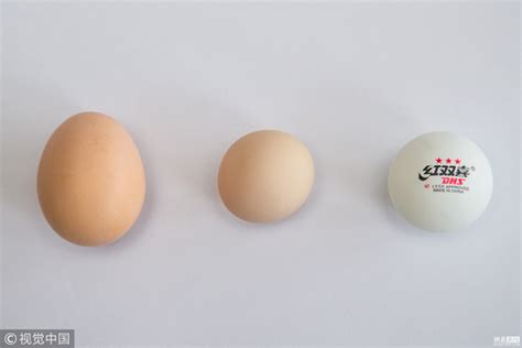 大伯买到圆形鸡蛋 出现概率十亿分之一 - 海报新闻