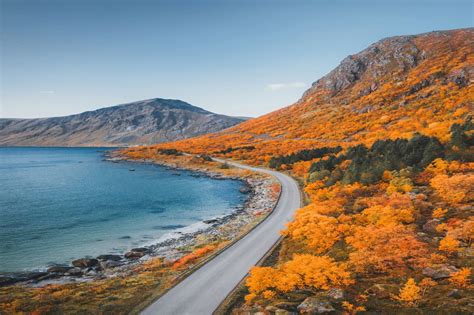 Image result for Shift Left