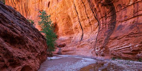 Weather Escalante Ut