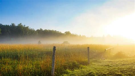 Grass Field Photography 的图像结果