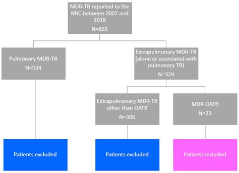 Clinical Features and Outcome of Multidrug-Resistant Osteoarticular ...