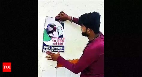 Missing Parrot: Seen Mithu? Family Promises ₹10k Reward To Find Missing ...