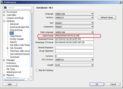 Image result for Oracle SQL Developer Date Format
