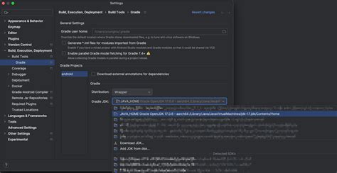 Gradle Java 的图像结果