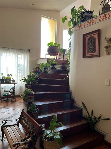 Modern House Staircase with Plants