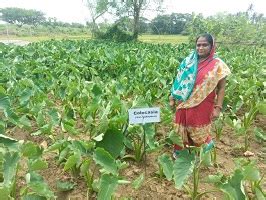 Institutional Mechanism and Technological Backstopping to Promote Women ...