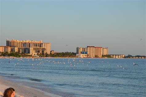 THE BEST Lido Beach Beaches (2025) - with Reviews