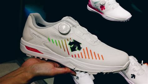 Descente Golf 的图像结果