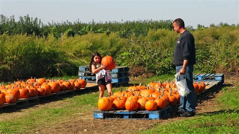 Family Fun: Apple Picking At Seven Ponds Farm In Water Mill! - KDHamptons