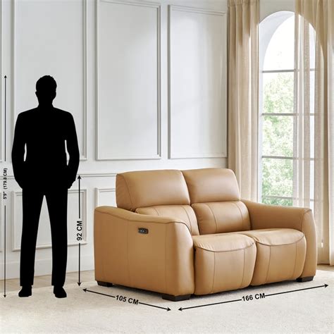 Buy Avelino Half Leather 2-Seater Zero Gravity Electric Recliner ...