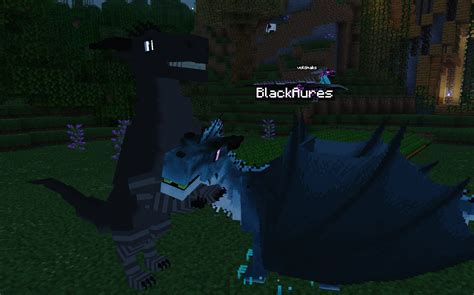 Image result for Minecraft Forge Dragon Mods Java