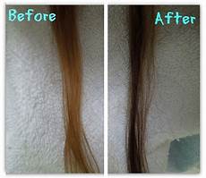 Black Walnut Hair Dye by Walnut Hair Dye How To Color Hair With Black Walnut Hair Dye Black Walnut Hair Dye