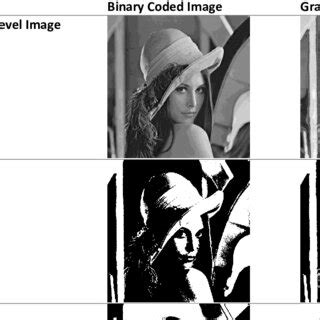 Image result for Gray Coding