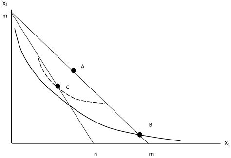 Behavioral Efficiency and Residential Electricity Consumption: A Microdata Study