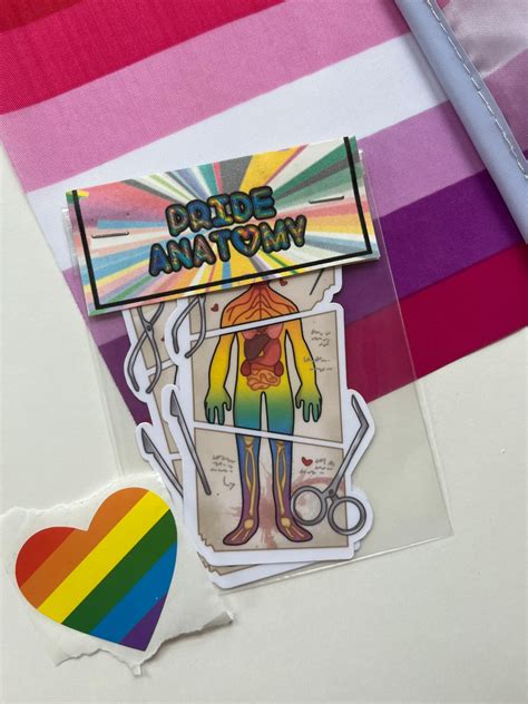 Buy Pride Anatomy Stickers LGBTQ Pride Flag Science Stickers Online in ...