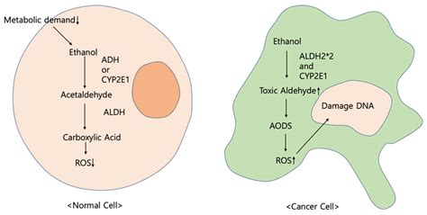 Diagnosis by Volatile Organic Compounds in Exhaled Breath from Patients ...