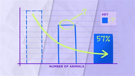 Using Graphs to Promote Data Literacy in Elementary School | Edutopia