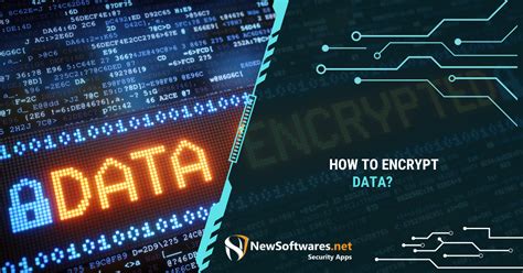 Encrypting Data 的图像结果