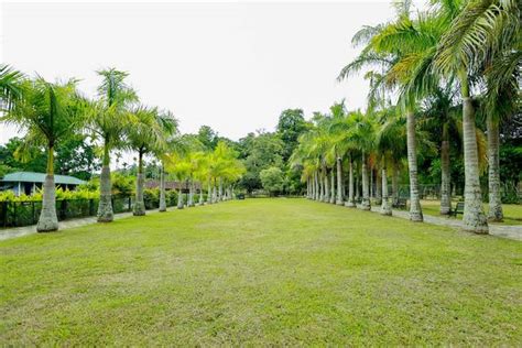 The Hill District Club by Voye Homes - Venue - Kalpetta - Weddingwire.in