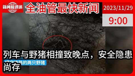 中国新闻11月29日09时：列车与两头野猪相撞致晚点 专家：若动物皮毛裹住车轮，或引发风险 - YouTube